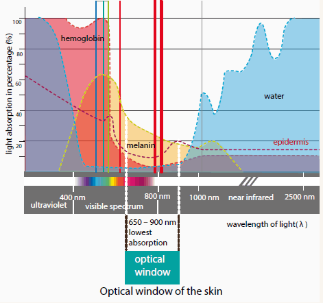 Optimal window of Red Light Therapy wavelengths