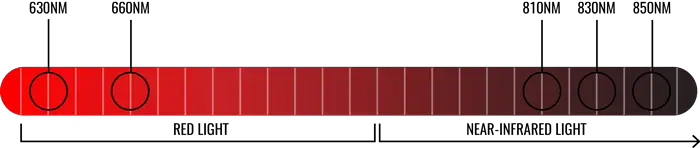 Optimal window of Red Light Therapy